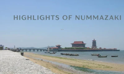 highlights of nummazaki
