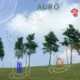 Aurö