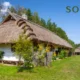 sodziu