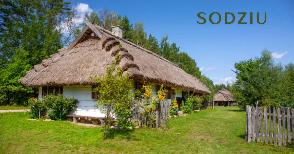 sodziu