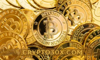 crypto30x.com