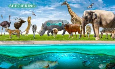 speciering