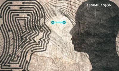 assimilasjon