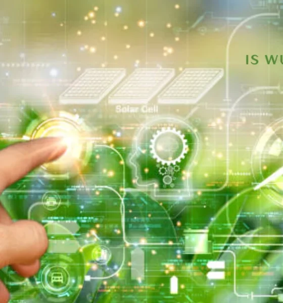 is wurduxalgoilds good