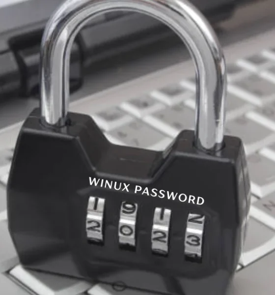 winux password