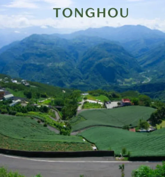 tonghou