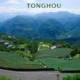 tonghou